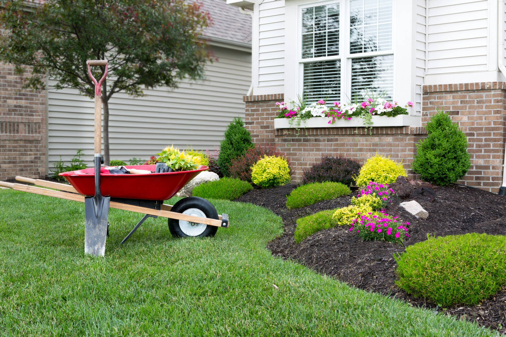 Cunningham Termite And Pest Control