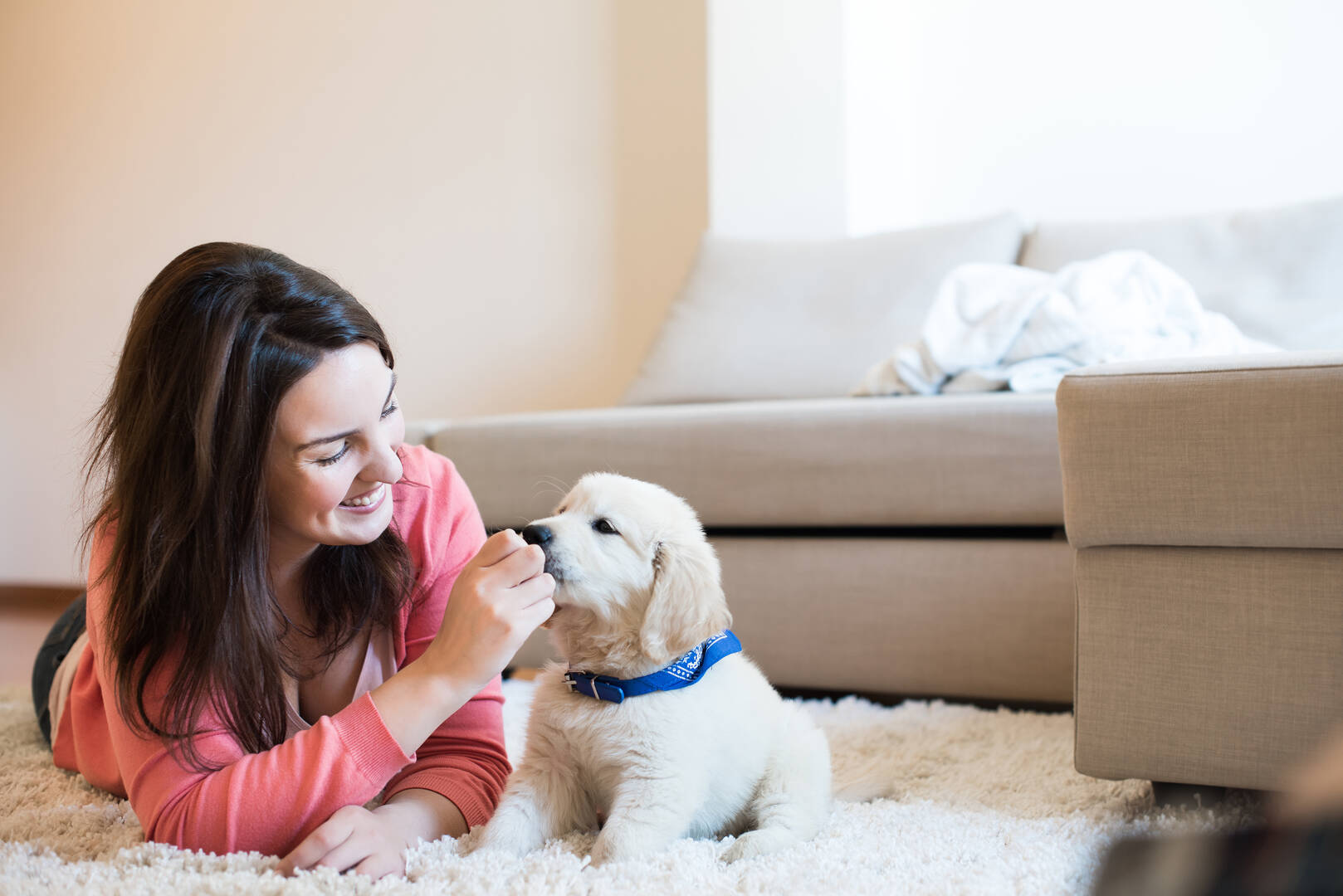 Ashland Terrace Animal Hospital